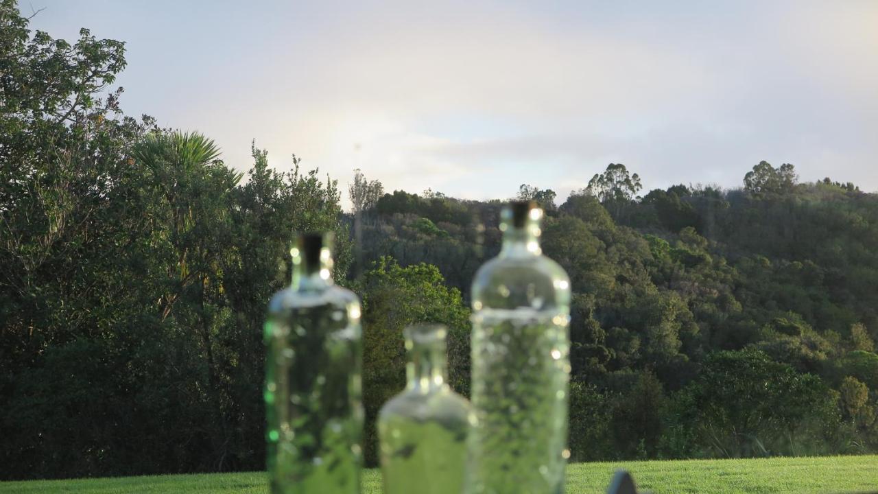 Kaka Lodge At Kotare House Tawharanui エクステリア 写真