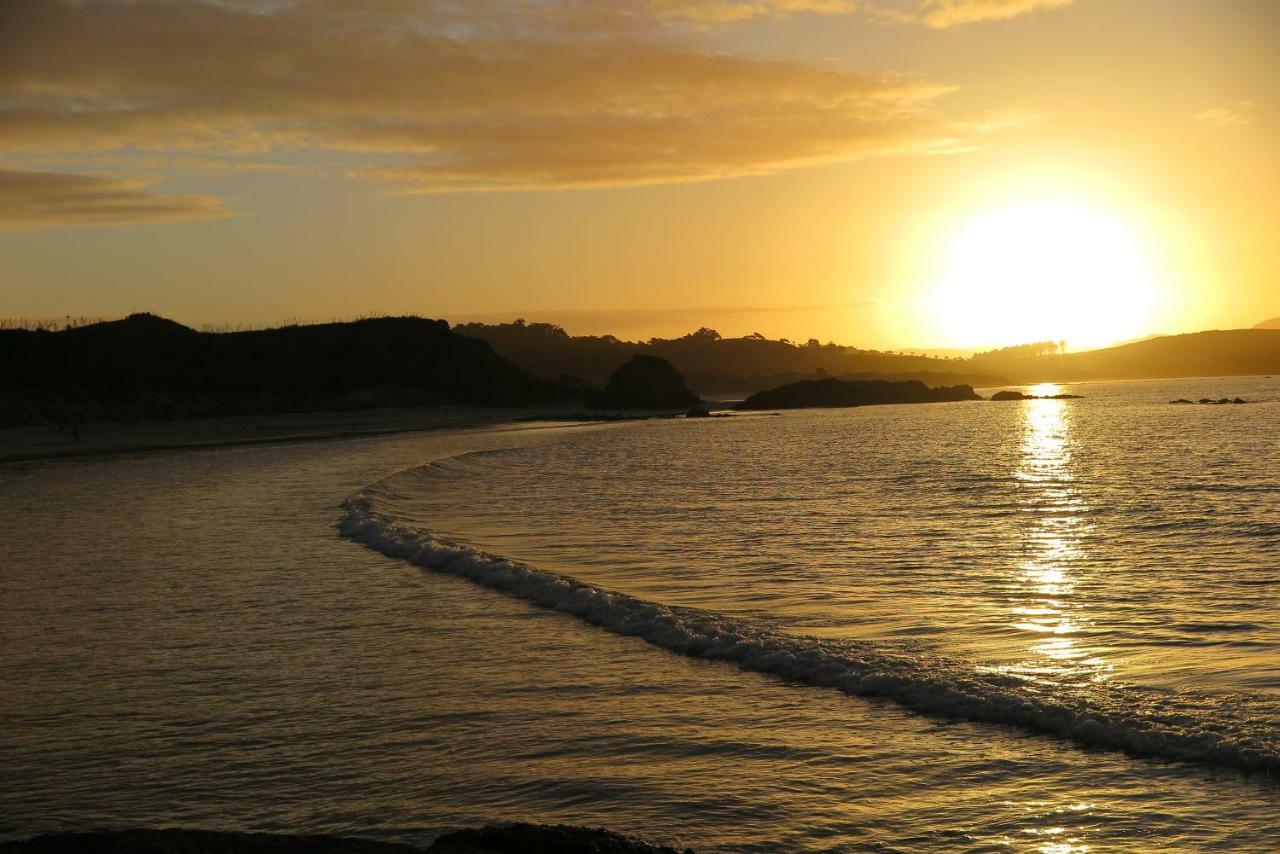 Kaka Lodge At Kotare House Tawharanui エクステリア 写真