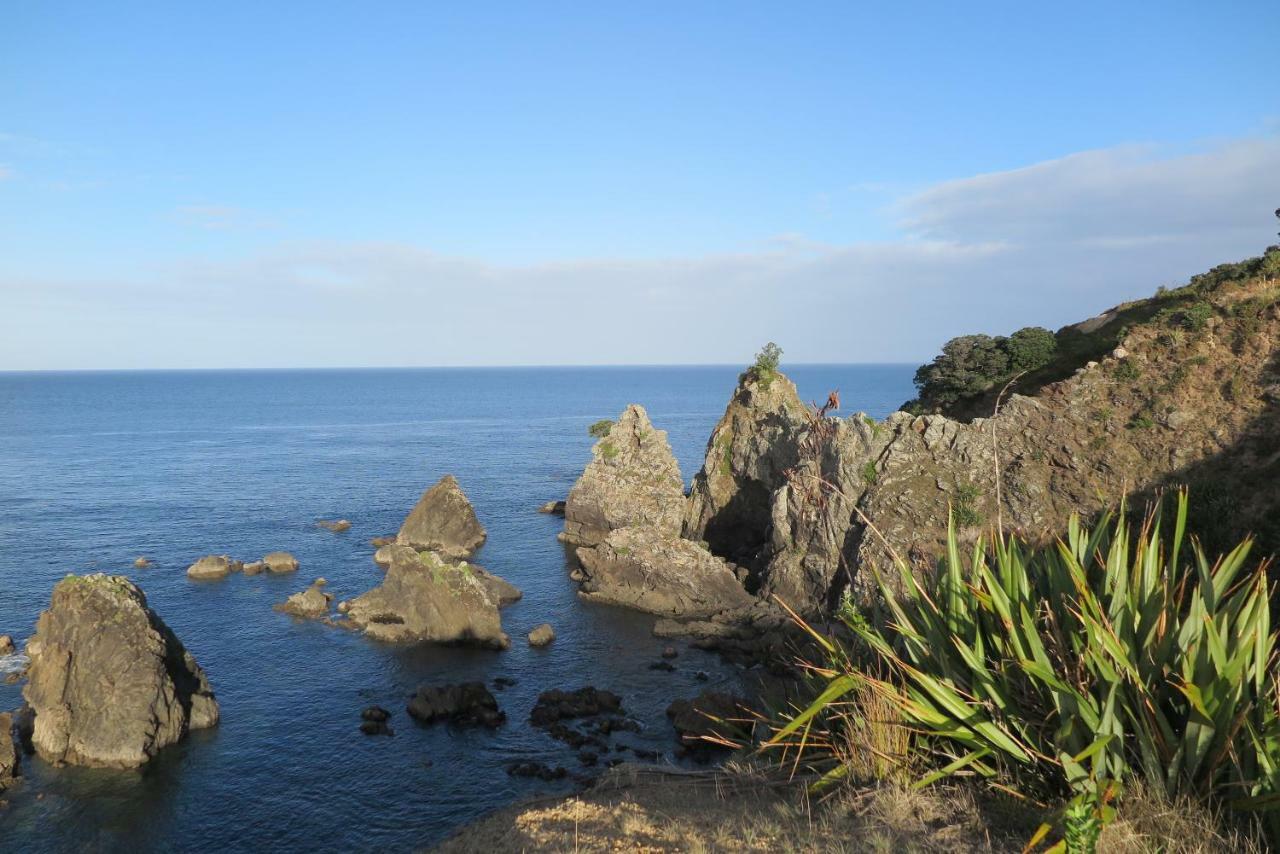 Kaka Lodge At Kotare House Tawharanui エクステリア 写真